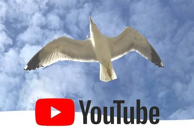 immagine youtube
