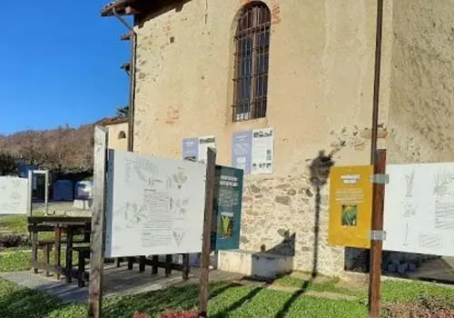QUAGLIUZZO